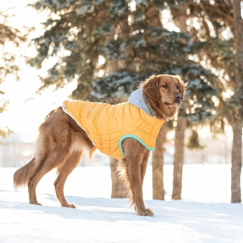 Wintersegler-Parka - Gelb